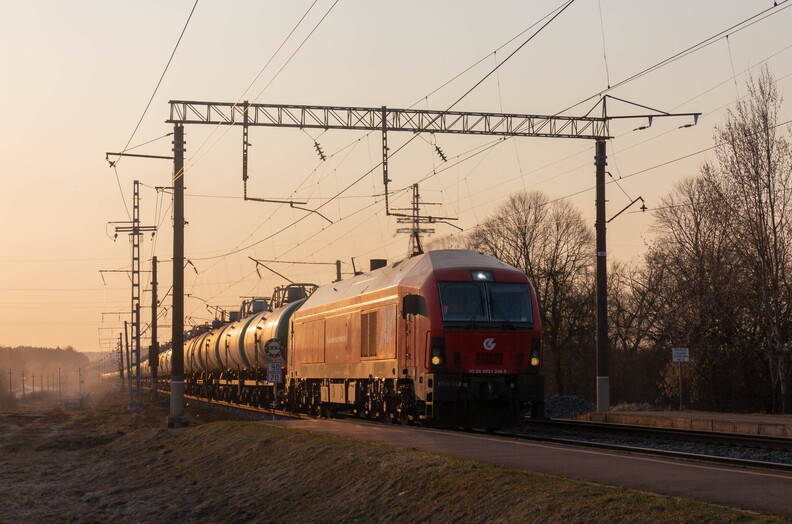 ER20-002 Vokė