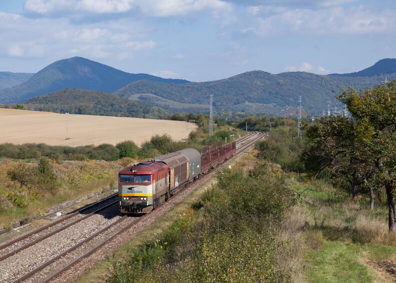751.199 Jovice