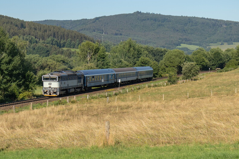 754 051 Dešenice