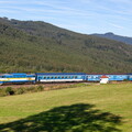754.027 Brčálník