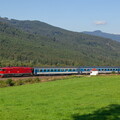 754.066 Brčálník