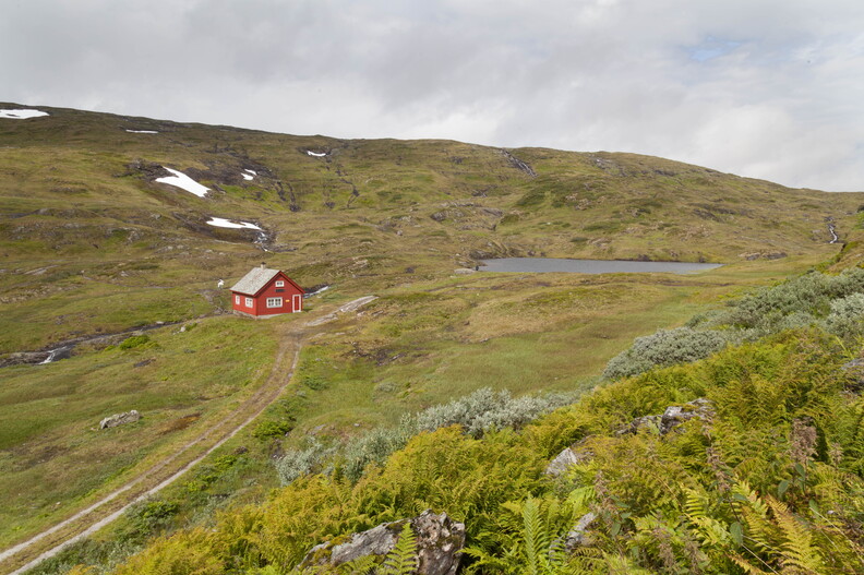 Vetlavatnet