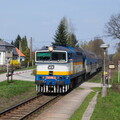 IMG 7020