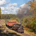 Px 48-3901 Przybyradz