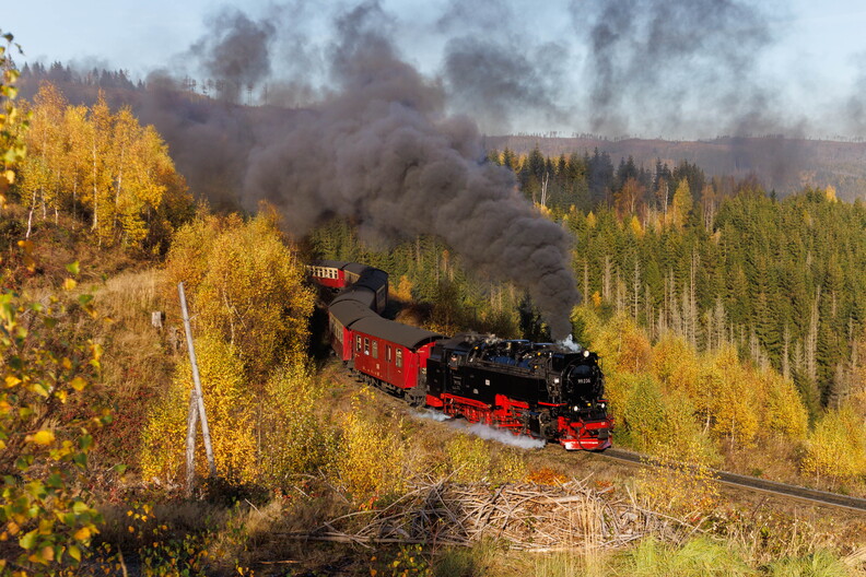 99 236 Hasselkopf