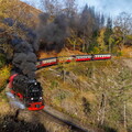 99 7241 Drängetal