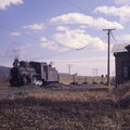 C2-18 Bagongli